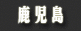 鹿児島デリヘル D-ZONE