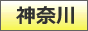 神奈川・横浜デリチャンネル