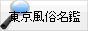 東京風俗【東京風俗名鑑】