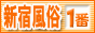 新宿風俗・歌舞伎町風俗情報 新宿風俗が一番