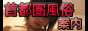 首都圏風俗案内